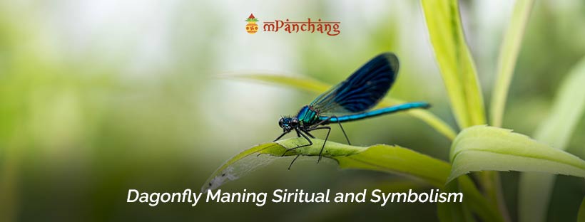 dragonfly meaning spiritual