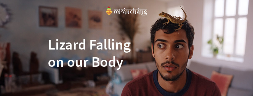 What is the Meaning of Lizard Falling on our Body